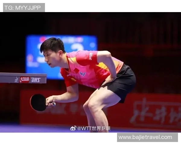 深度对话：周娜如何在乒乓球世界中书写自己的传奇人生